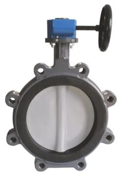 Vanne Papillon Inox à Oreilles Taraudées DN250 XYLIAT FGL RM à Démultiplicateur - SOCLA